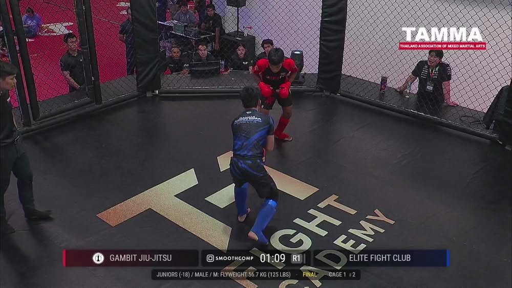 Thailand Mixed Martial Arts Championship