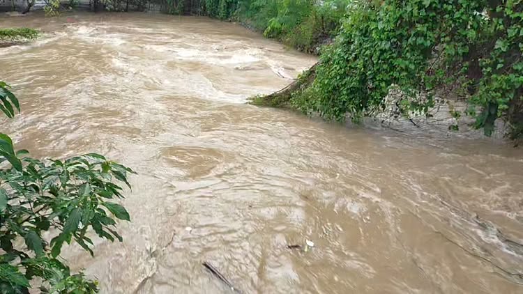 This morning the Mae Rim water has started to recede