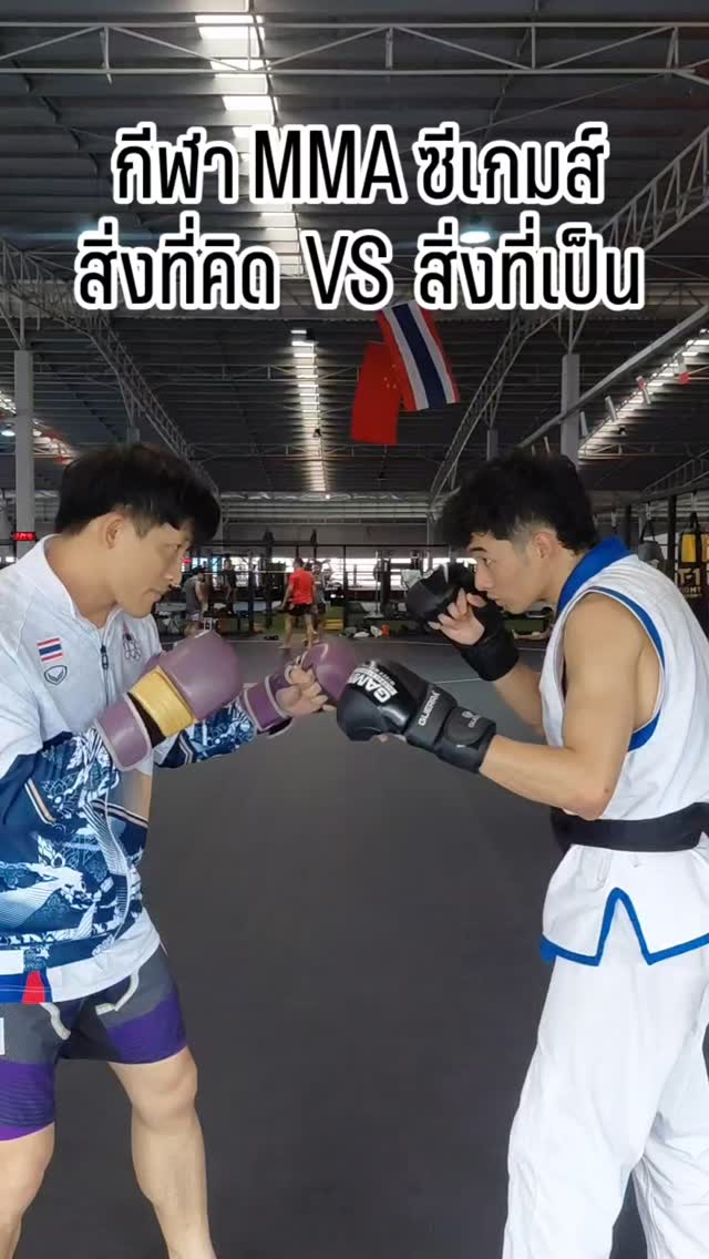 What you think VS what it is — MMA at the SEA Games