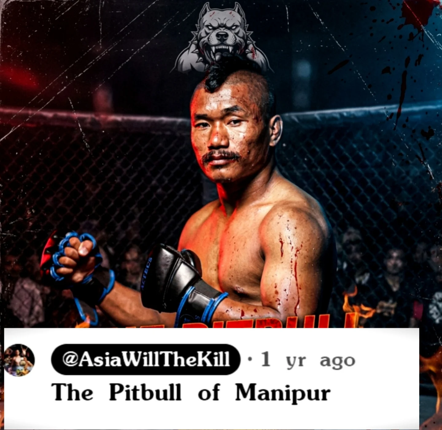 ⏩This is my Cage Name (The Pitbull of Manipur)🐶 by @asiawillthekill Will chope former UFC Fighter💪🔥