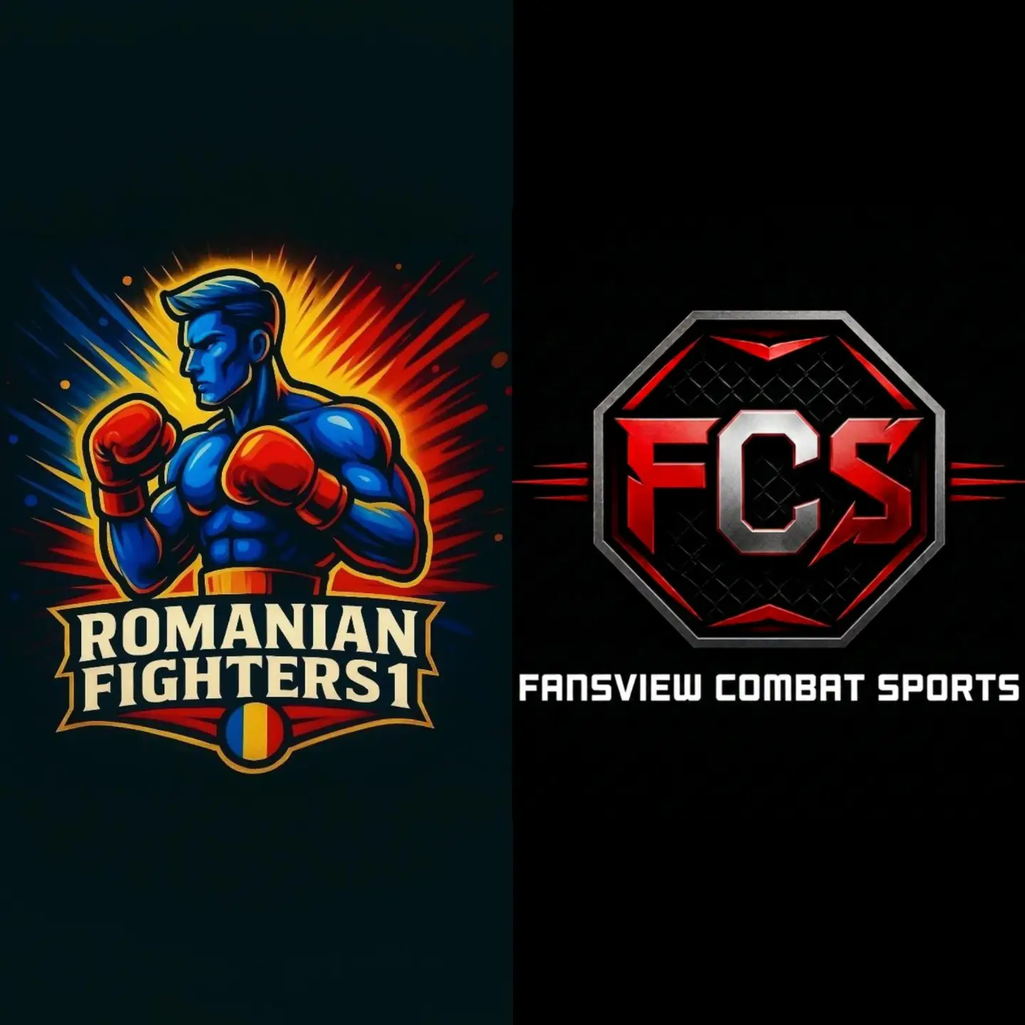 Hello everyone! I’m excited to announce the beginning of a partnership with @romanianfighters1, where I will be joining the project as an official media team me